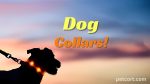 Dog Collars | Strong, Comfort & Secure