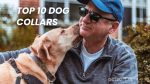 The Top 10 Dog Collars