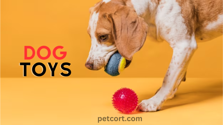 How Can Dog Toys Help Keep Your Furry Friend Entertained?