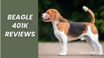 Beagle 401k Reviews: A Comprehensive Look